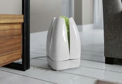 Coupon 🔥 Airfree Lotus Filterless Silent Air Purifier by Airfree USA LLC 💯 -Cheap Home Store 207940 z4