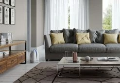 Coupon 🔥 Airfree Lotus Filterless Silent Air Purifier by Airfree USA LLC 💯 -Cheap Home Store 207940 z9