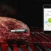 Coupon ❤️ Wireless Meat Thermometer by Mastrad, Inc. 🥰