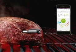 Coupon ❤️ Wireless Meat Thermometer by Mastrad, Inc. 🥰