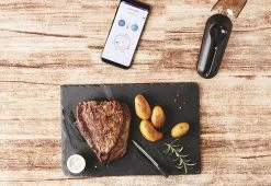 Coupon ❤️ Wireless Meat Thermometer by Mastrad, Inc. 🥰 -Cheap Home Store 207946 z5