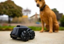 Best deal ❤️ Mobile Security Robot by Pilot Laboratories, Inc ⭐ -Cheap Home Store 208282 z10