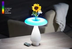 Buy 😀 LED Ceramic Flower Vase by Heron Elite Inc ✔️