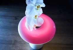 Buy 😀 LED Ceramic Flower Vase by Heron Elite Inc ✔️ -Cheap Home Store 208297 z6