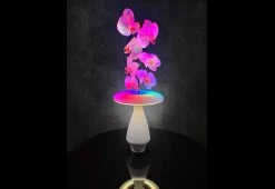 Buy 😀 LED Ceramic Flower Vase by Heron Elite Inc ✔️ -Cheap Home Store 208297 z7