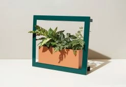 Deals π Plant Growing Frame by Modern Sprout, LLC. π₯° 22 Deals π Plant Growing Frame by Modern Sprout, LLC. π₯° -Cheap Home Store 208301 z11