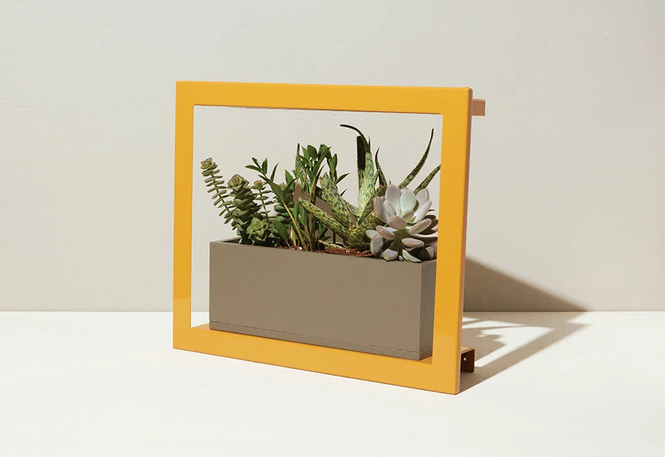 Deals π Plant Growing Frame by Modern Sprout, LLC. π₯° 12 Deals π Plant Growing Frame by Modern Sprout, LLC. π₯° - Image 12