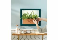 Deals π Plant Growing Frame by Modern Sprout, LLC. π₯° 15 Deals π Plant Growing Frame by Modern Sprout, LLC. π₯° -Cheap Home Store 208301 z4