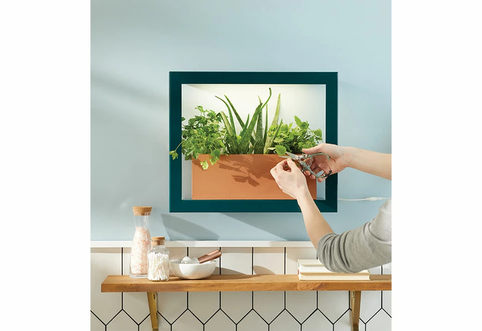 Deals π Plant Growing Frame by Modern Sprout, LLC. π₯° 4 Deals π Plant Growing Frame by Modern Sprout, LLC. π₯° - Image 4