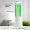 Best Pirce 👏 Natural Algae Air Purifier by AlgenAir Inc. 🌟