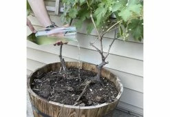 Best Pirce 👏 Natural Algae Air Purifier by AlgenAir Inc. 🌟 -Cheap Home Store 208334 z7