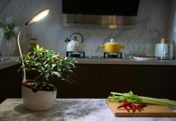 Flash Sale π LED Grow Light by LED Technologies, LLC β¨