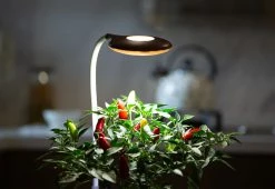 Flash Sale 🌟 LED Grow Light by LED Technologies, LLC ✨ -Cheap Home Store 208421 z5