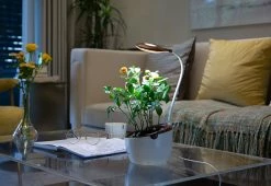 Flash Sale 🌟 LED Grow Light by LED Technologies, LLC ✨ -Cheap Home Store 208421 z6