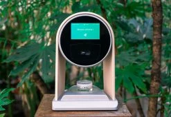 Flash Sale ❤️ Self Care Botanical System by Family Self Care Inc. 🤩 -Cheap Home Store 208462 z10