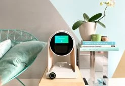 Flash Sale ❤️ Self Care Botanical System by Family Self Care Inc. 🤩 -Cheap Home Store 208462 z6